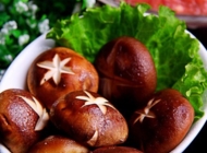 鲜美蘑菇宴，犒劳你的味蕾和健康！
